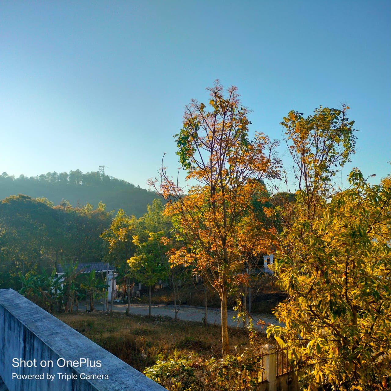 Sahana Holidays Yercaud — property and accommodation photo 1