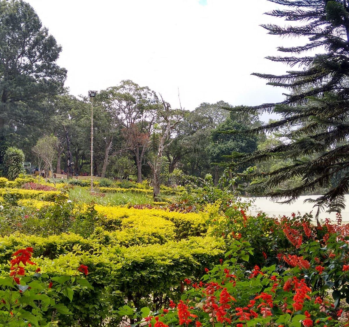 Rose Garden — Parks & Nature in Yercaud
