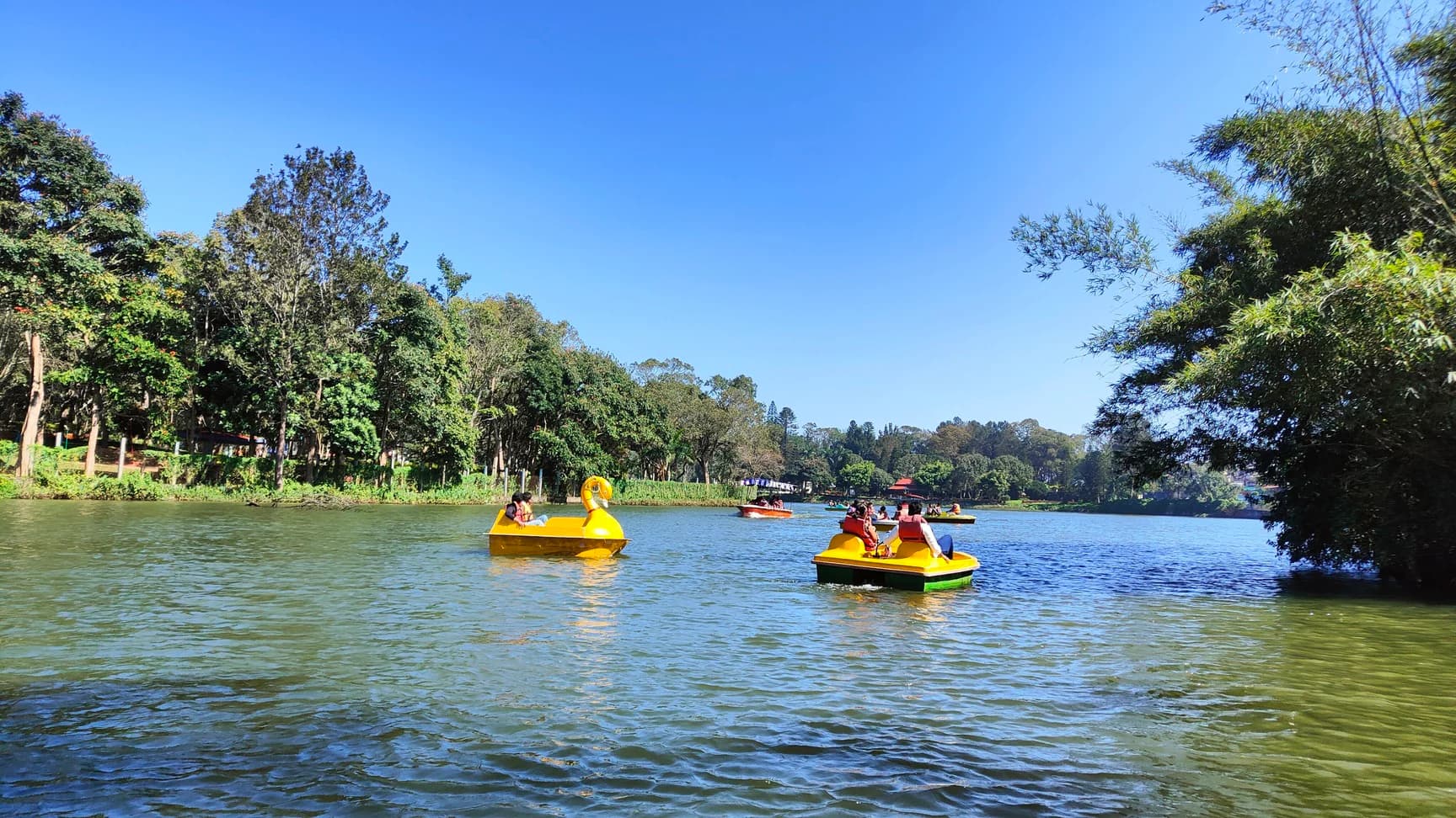 Yercaud Boat House — Tourist Attractions in Yercaud
